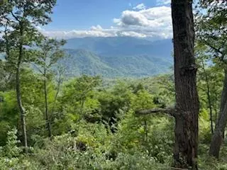 lot30 Hickory Cove Rd, Bryson City, NC 28713
