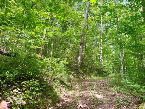 377 Jake Taylor Rd, Murphy, NC 28906 photo 21