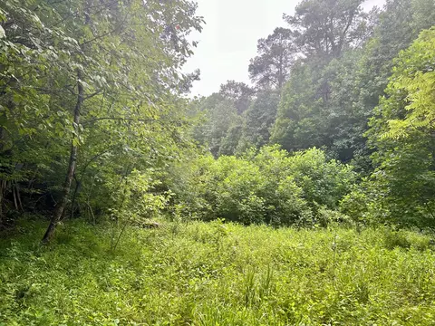377 Jake Taylor Rd, Murphy, NC 28906 photo 14
