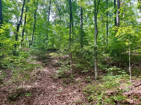 377 Jake Taylor Rd, Murphy, NC 28906 photo 18