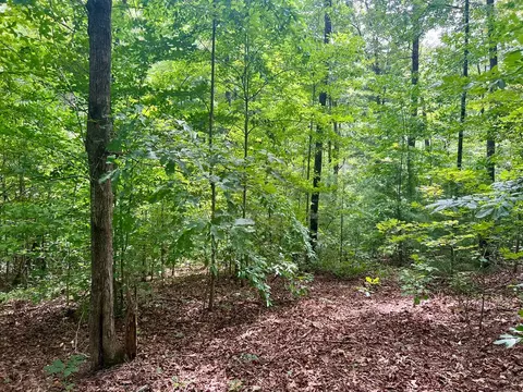 377 Jake Taylor Rd, Murphy, NC 28906 photo 16
