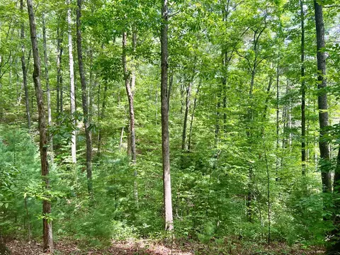377 Jake Taylor Rd, Murphy, NC 28906 photo 19