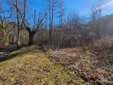 24 74 Ac East Fork Rd, Sylva, NC 28779 photo 11