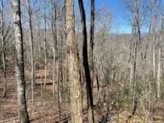 24 74 Ac East Fork Rd, Sylva, NC 28779 photo 27