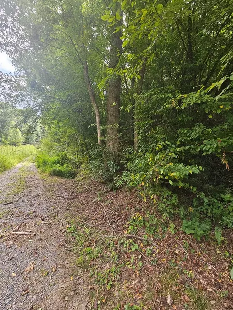 24 74 Ac East Fork Rd, Sylva, NC 28779 photo 9