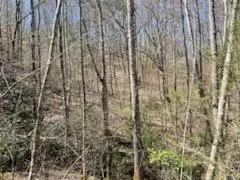 24 74 Ac East Fork Rd, Sylva, NC 28779 photo 23