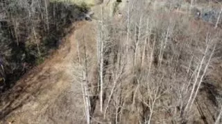 24 74 Ac East Fork Rd, Sylva, NC 28779 photo 21