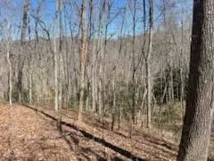 24 74 Ac East Fork Rd, Sylva, NC 28779 photo 28