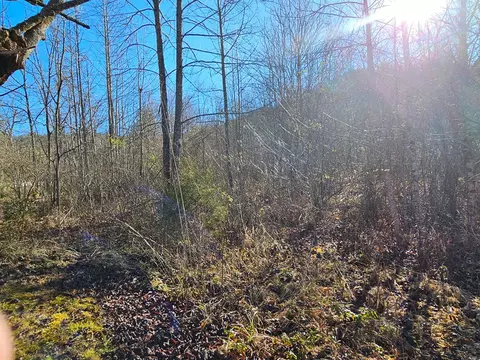 24 74 Ac East Fork Rd, Sylva, NC 28779 photo 10