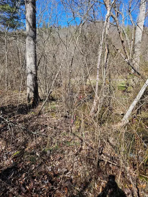 24 74 Ac East Fork Rd, Sylva, NC 28779 photo 14