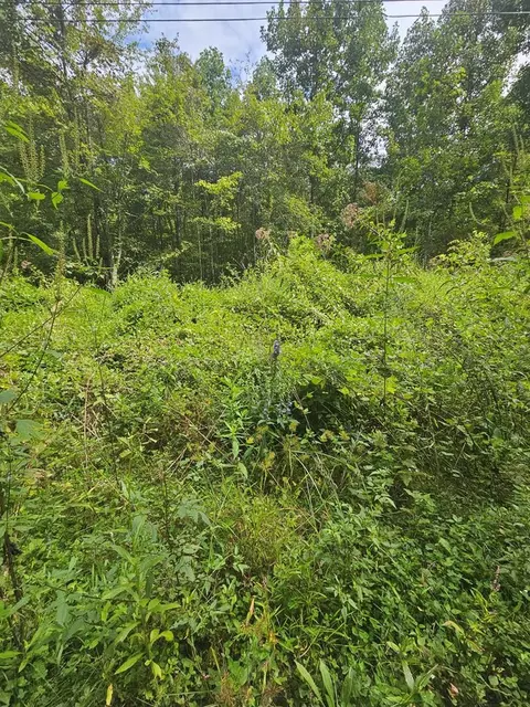 24 74 Ac East Fork Rd, Sylva, NC 28779