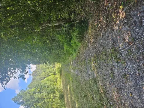24 74 Ac East Fork Rd, Sylva, NC 28779 photo 29