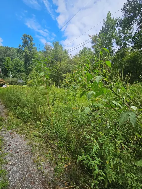 24 74 Ac East Fork Rd, Sylva, NC 28779 photo 4