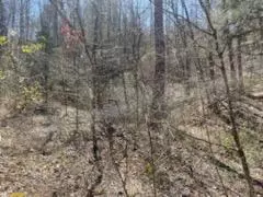 24 74 Ac East Fork Rd, Sylva, NC 28779 photo 22