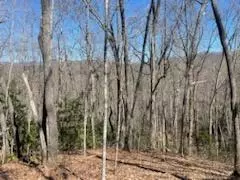 24 74 Ac East Fork Rd, Sylva, NC 28779 photo 26