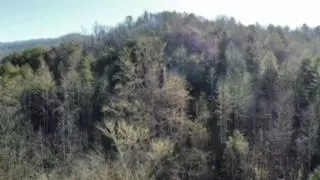 24 74 Ac East Fork Rd, Sylva, NC 28779 photo 19