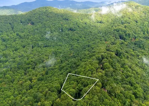 lot226 Young Cove Rd, Franklin, NC 28734