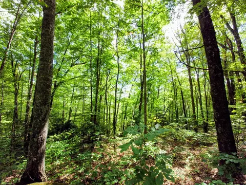 lot11 E Cliff Rd, Cullowhee, NC 28723