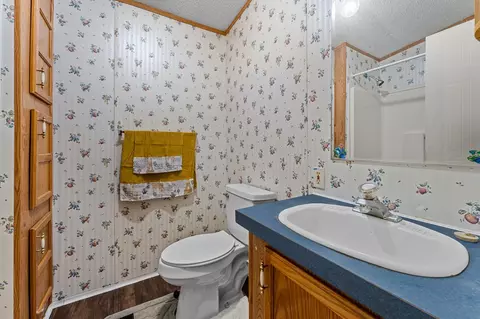 Bath - 362 Cagle Cv, Sylva, NC 28779 photo 3 of 4