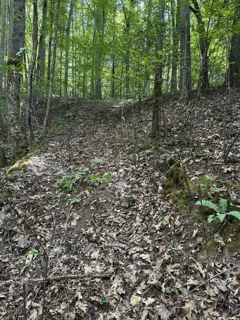 lot4 Brendle Rd, Franklin, NC 28734