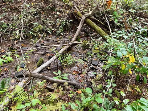 0 Whispering Rdg, Tuckasegee, NC 28783