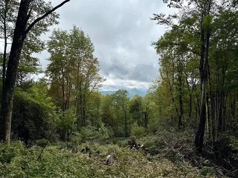 Undisclosed, Sapphire, NC 28774