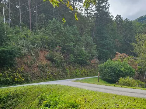 9999 Good Things Rd, Sylva, NC 28779 photo 2
