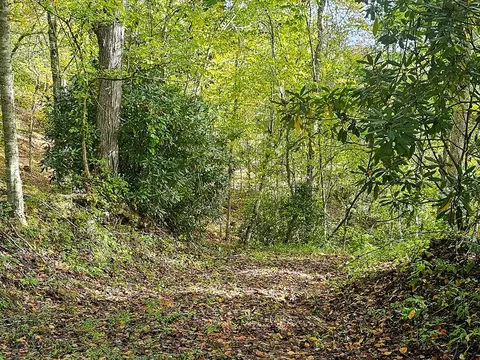 9999 Good Things Rd, Sylva, NC 28779 photo 5