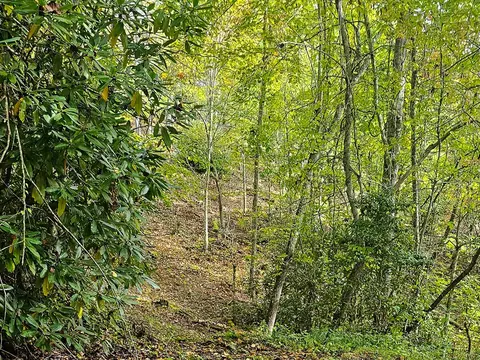9999 Good Things Rd, Sylva, NC 28779 photo 6