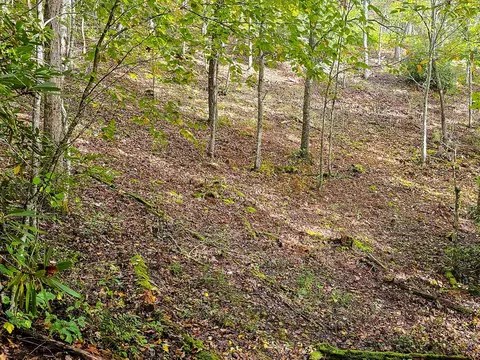 9999 Good Things Rd, Sylva, NC 28779 photo 8