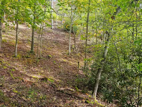9999 Good Things Rd, Sylva, NC 28779 photo 9