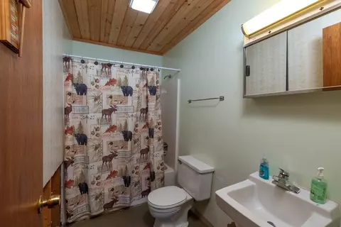 Bath - 138 John Allman Ln, Sylva, NC 28779 photo 1 of 1