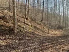 528 Early Dietz, Sylva, NC 28779 photo 6