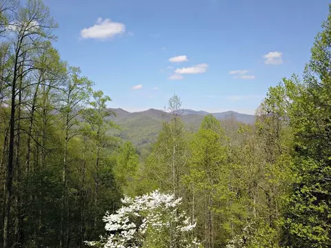 528 Early Dietz, Sylva, NC 28779