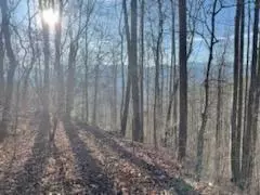 528 Early Dietz, Sylva, NC 28779 photo 10