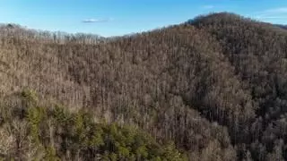 528 Early Dietz, Sylva, NC 28779 photo 7