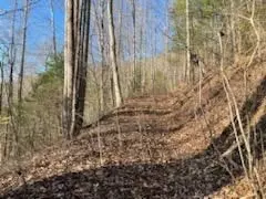 528 Early Dietz, Sylva, NC 28779 photo 5