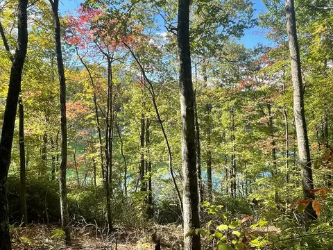 lot8 1 Lakes End, Bryson City, NC 28713