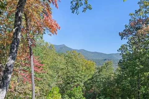 1635 Quest Rdg, Sylva, NC 28779 photo 51