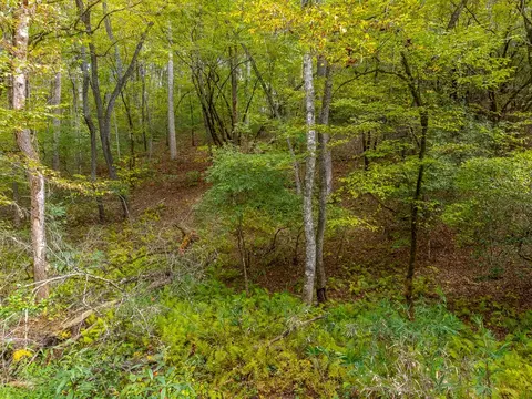0 Benjamin Dr, Franklin, NC 28734 photo 4