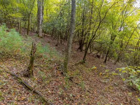 0 Benjamin Dr, Franklin, NC 28734 photo 9