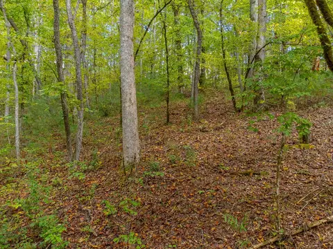 0 Benjamin Dr, Franklin, NC 28734 photo 6