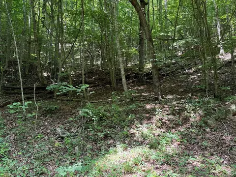 0 Saldeer Mountain Rd, Franklin, NC 28734