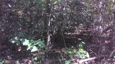 18 Mountaineer Road, Whittier, NC 28789