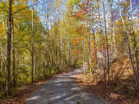 241 Fallen Oak Dr, Sylva, NC 28779 photo 13