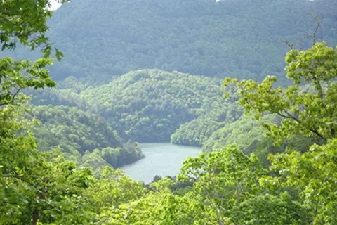 lot29 Lodge Fork Trl, Bryson City, NC 28713