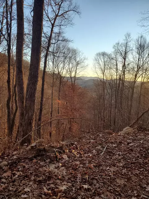 lot21 Falls View Dr, Bryson City, NC 28713