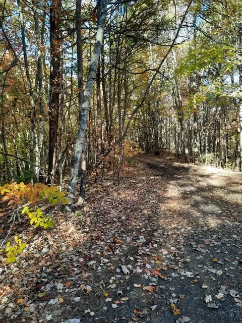 0000 Dog Leg Rd, Whittier, NC 28789
