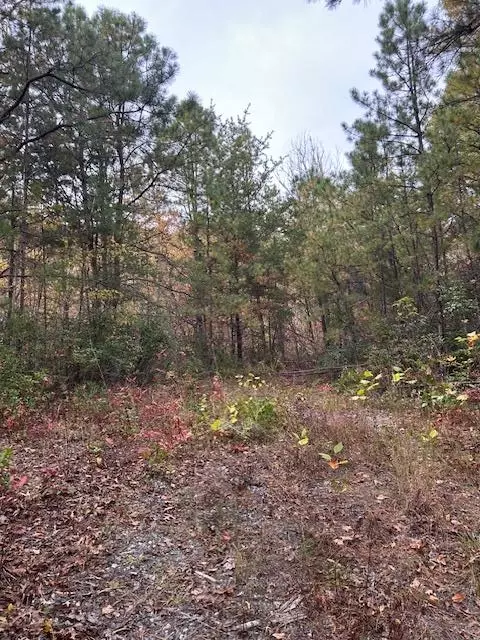 0 Tara Hls, Whittier, NC 28789