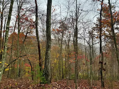 0 Poplar Ridge Ln, Franklin, NC 28734